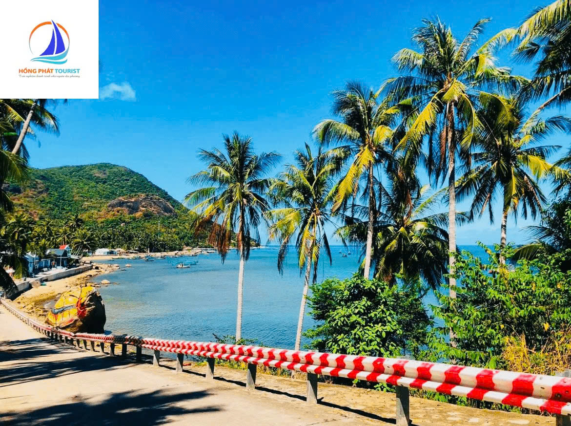 Lĩnh vực hoạt động